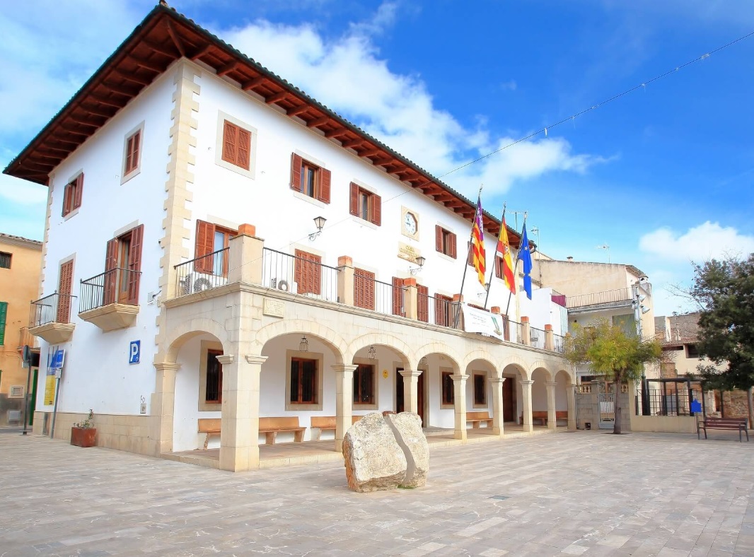 Imagen principal Fiesta Local